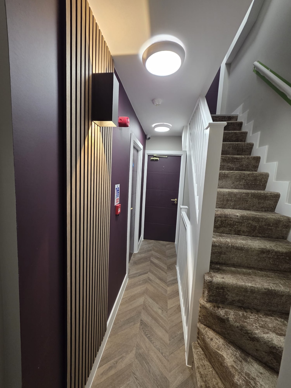 Rear Extension, Loft Conversion & 6-Bed HMO project image