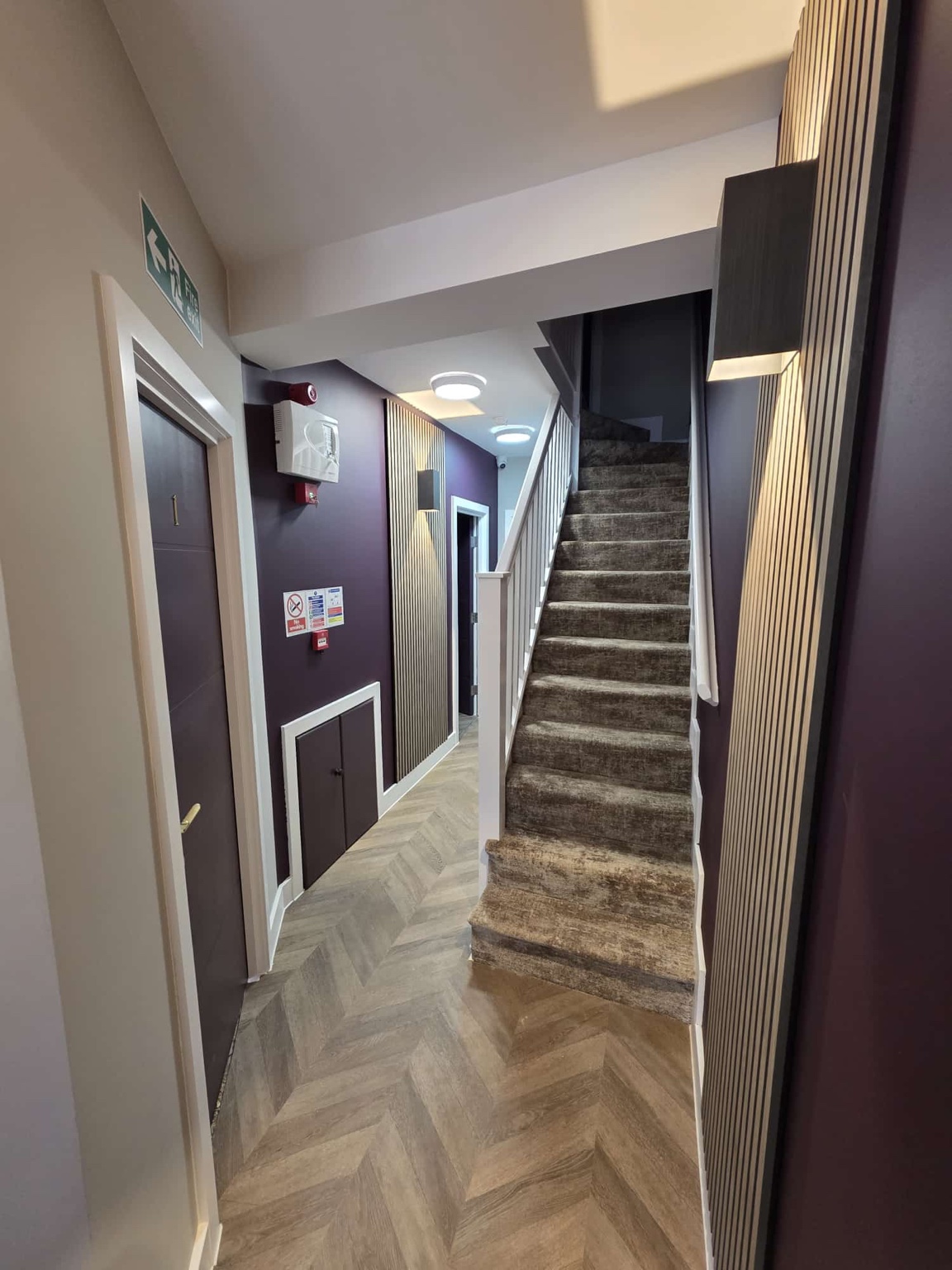 Rear Extension, Loft Conversion & 6-Bed HMO project image