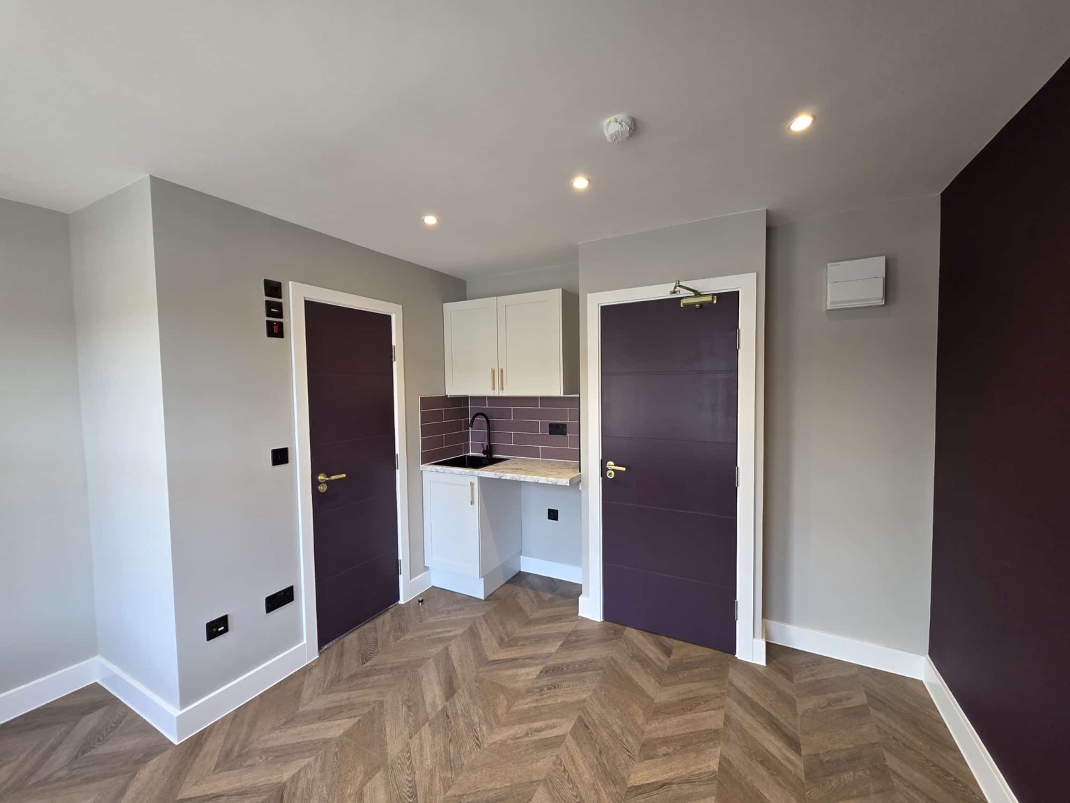 Rear Extension, Loft Conversion & 6-Bed HMO project image